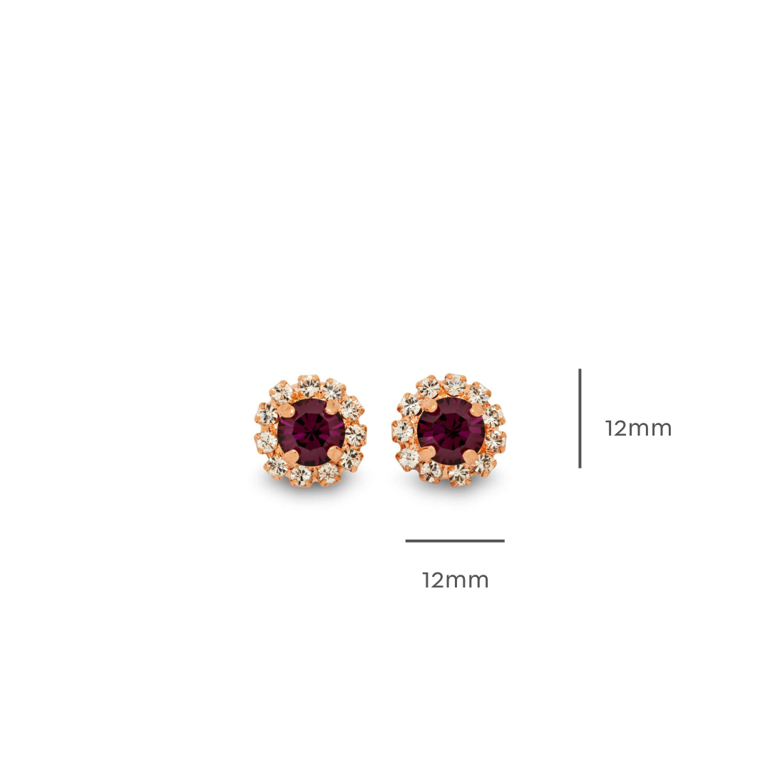 Esme Earrings Amethyst