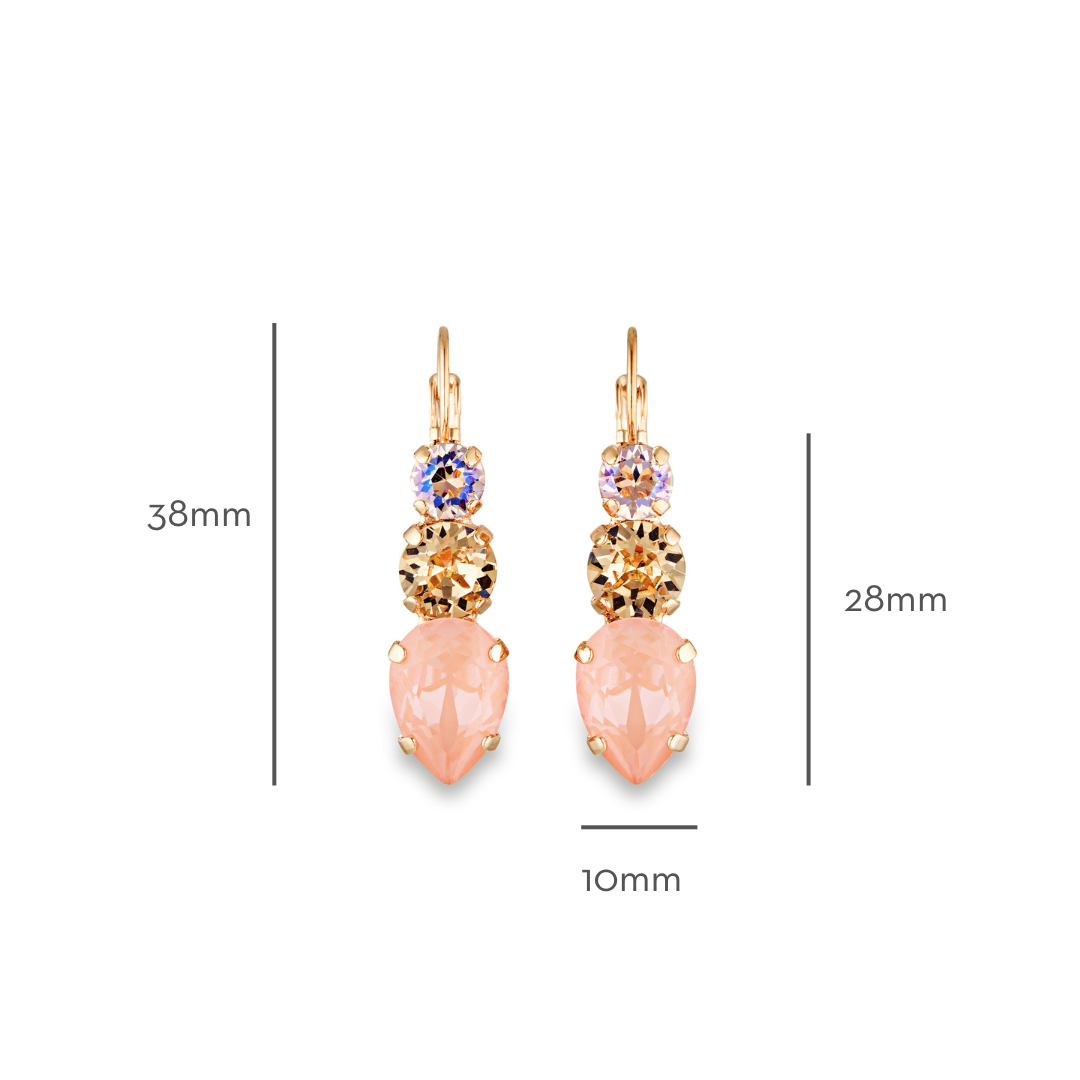 Chanelle Earrings Flamingo Ignite