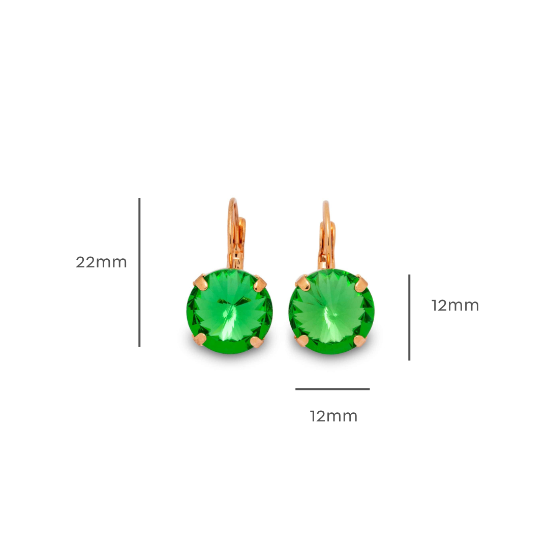 Elise Earrings Erinite