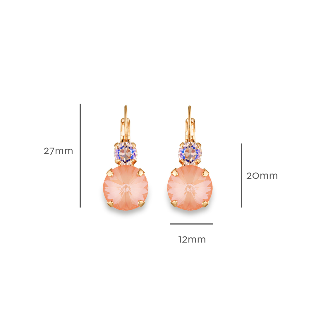 Gisele Earrings Flamingo Ignite